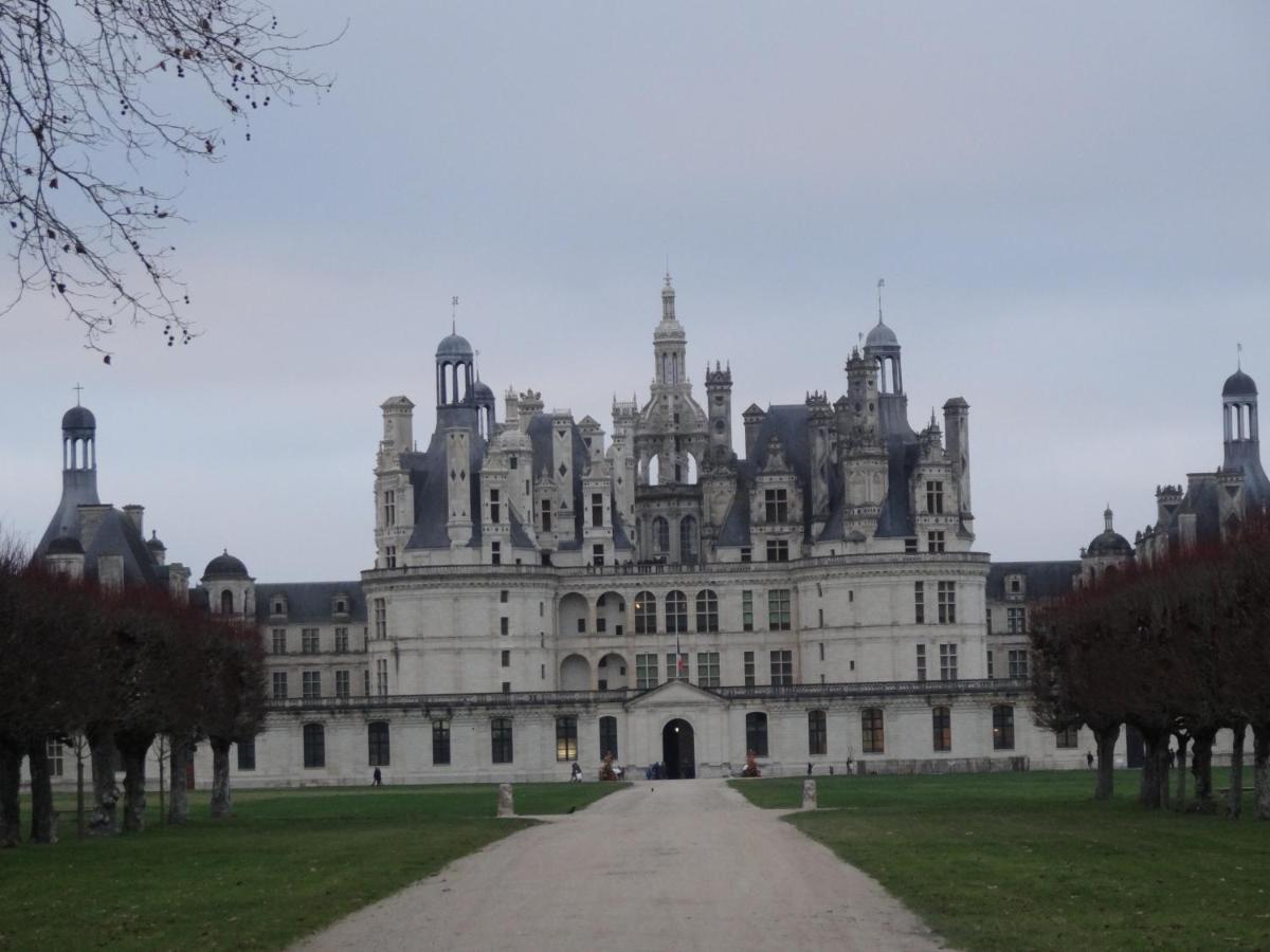 Gite Le Cerf Solognot Proche Chateau Chambord, Lamotte Beuvron Neung-sur-Beuvron Luaran gambar