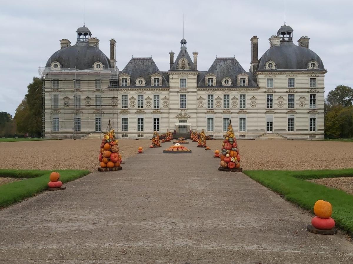 Gite Le Cerf Solognot Proche Chateau Chambord, Lamotte Beuvron Neung-sur-Beuvron Luaran gambar